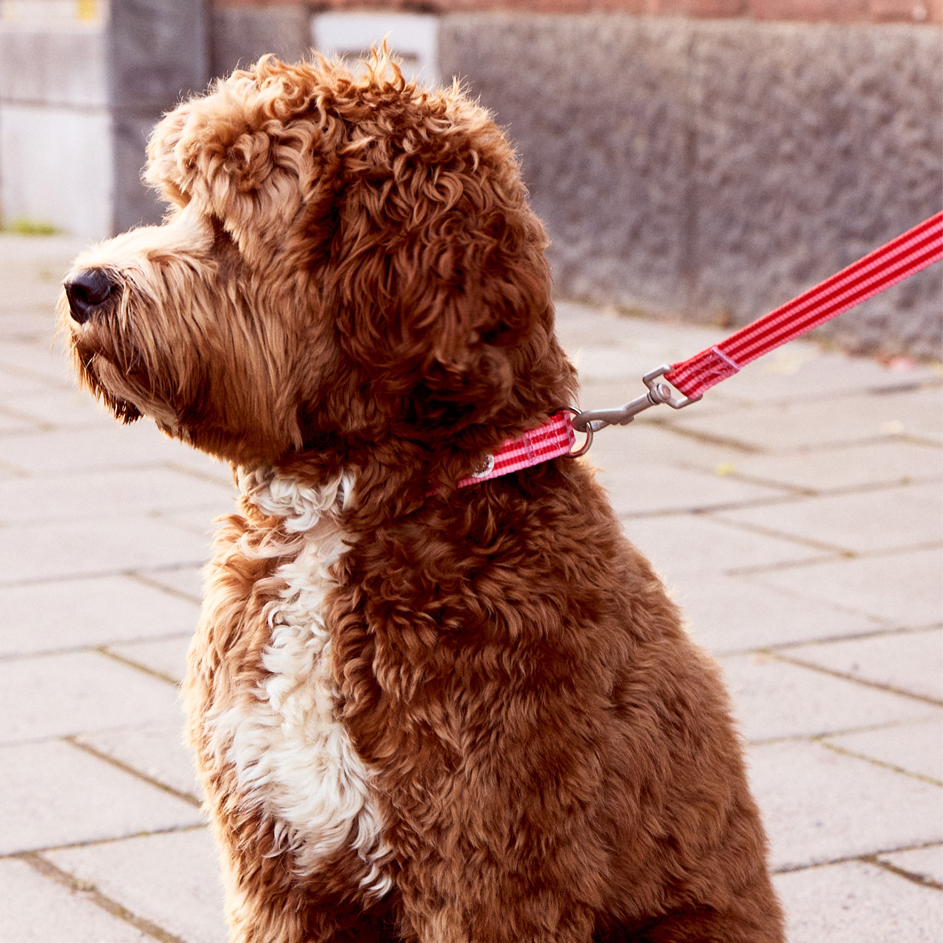 Mosebacke Walk Kit Dog Collar Pink - Barkalot