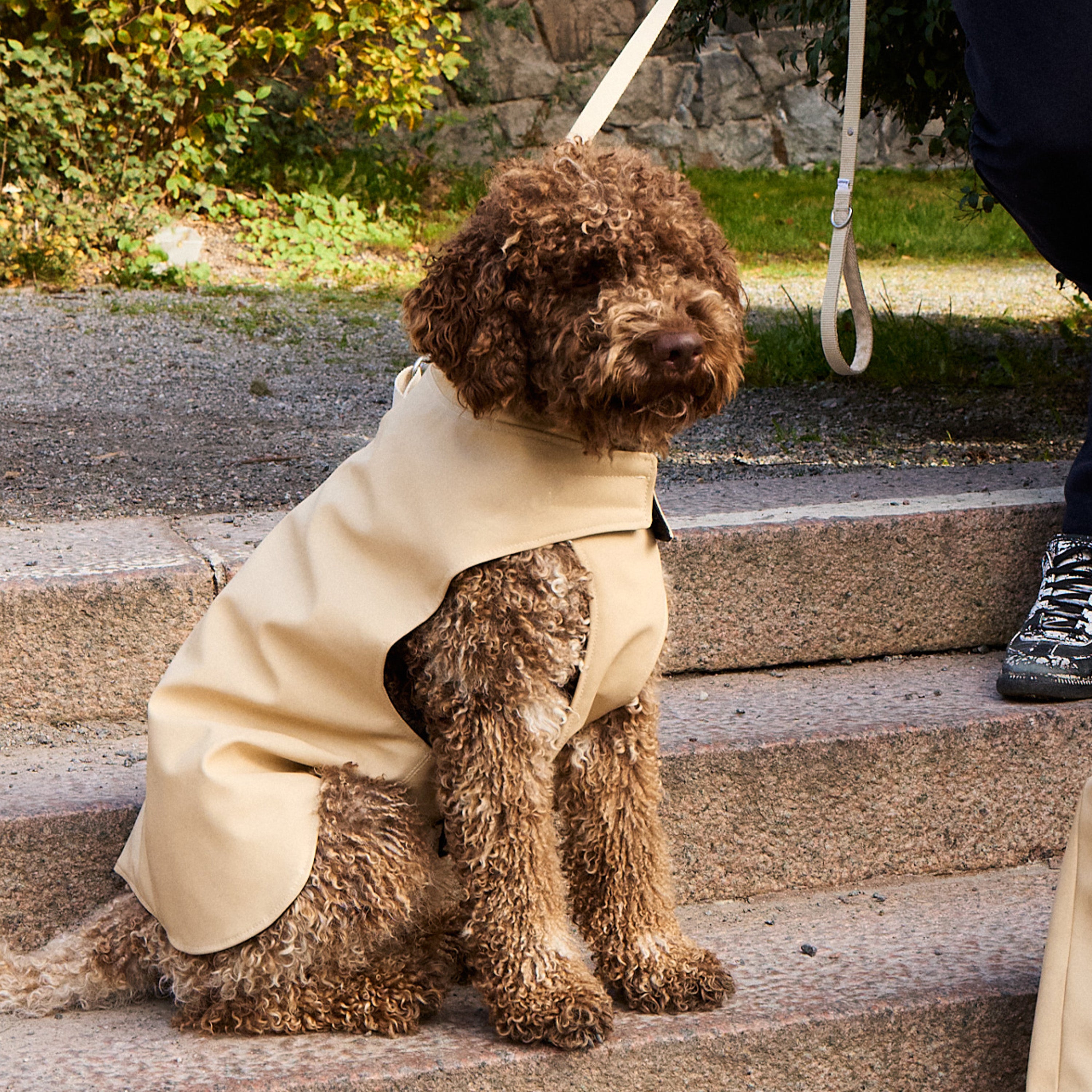 Padded Dog Coat - Barkalot