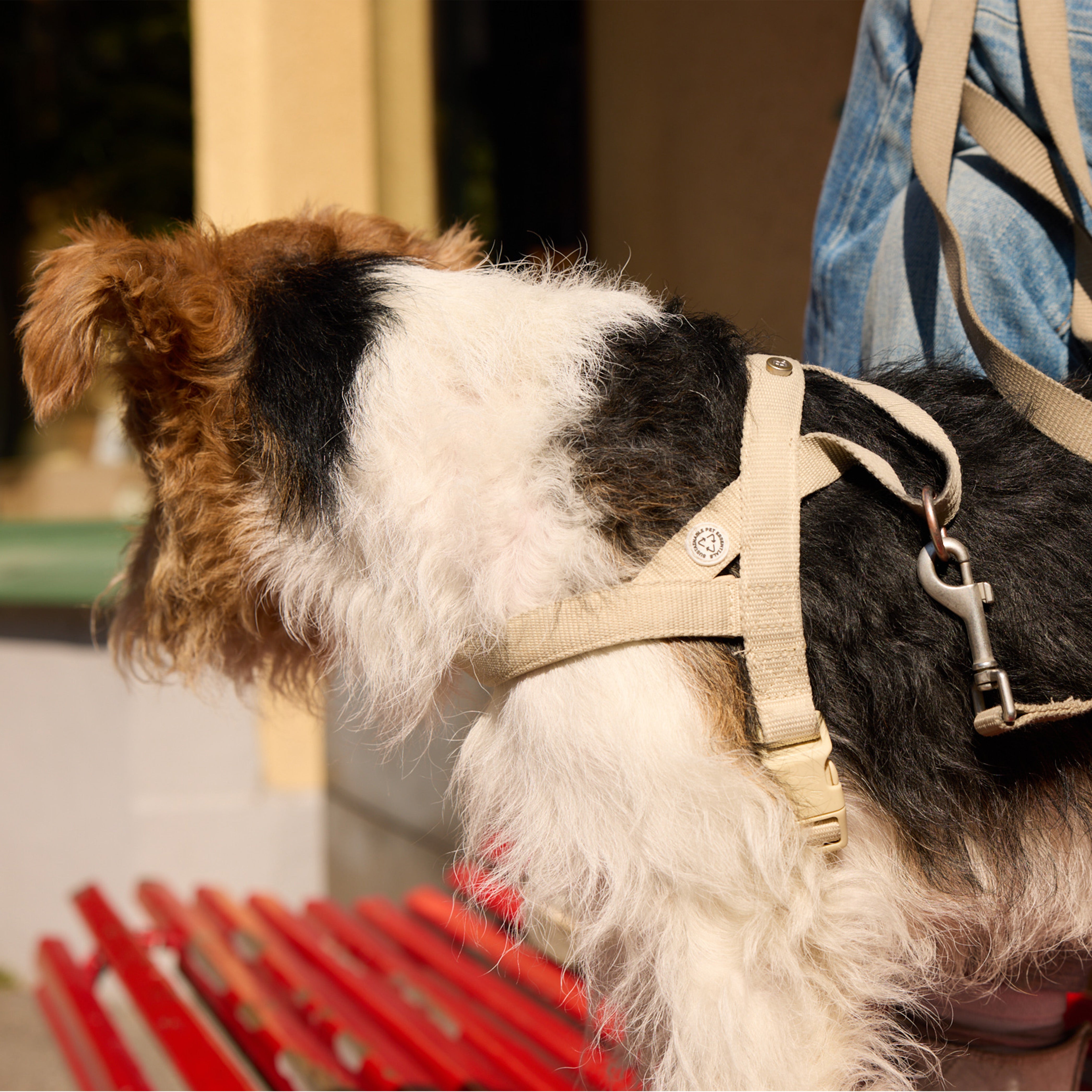 Sand Dog Harness - Barkalot