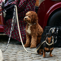 Sand Dog Leash - Barkalot