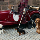 Sand Dog Leash - Barkalot