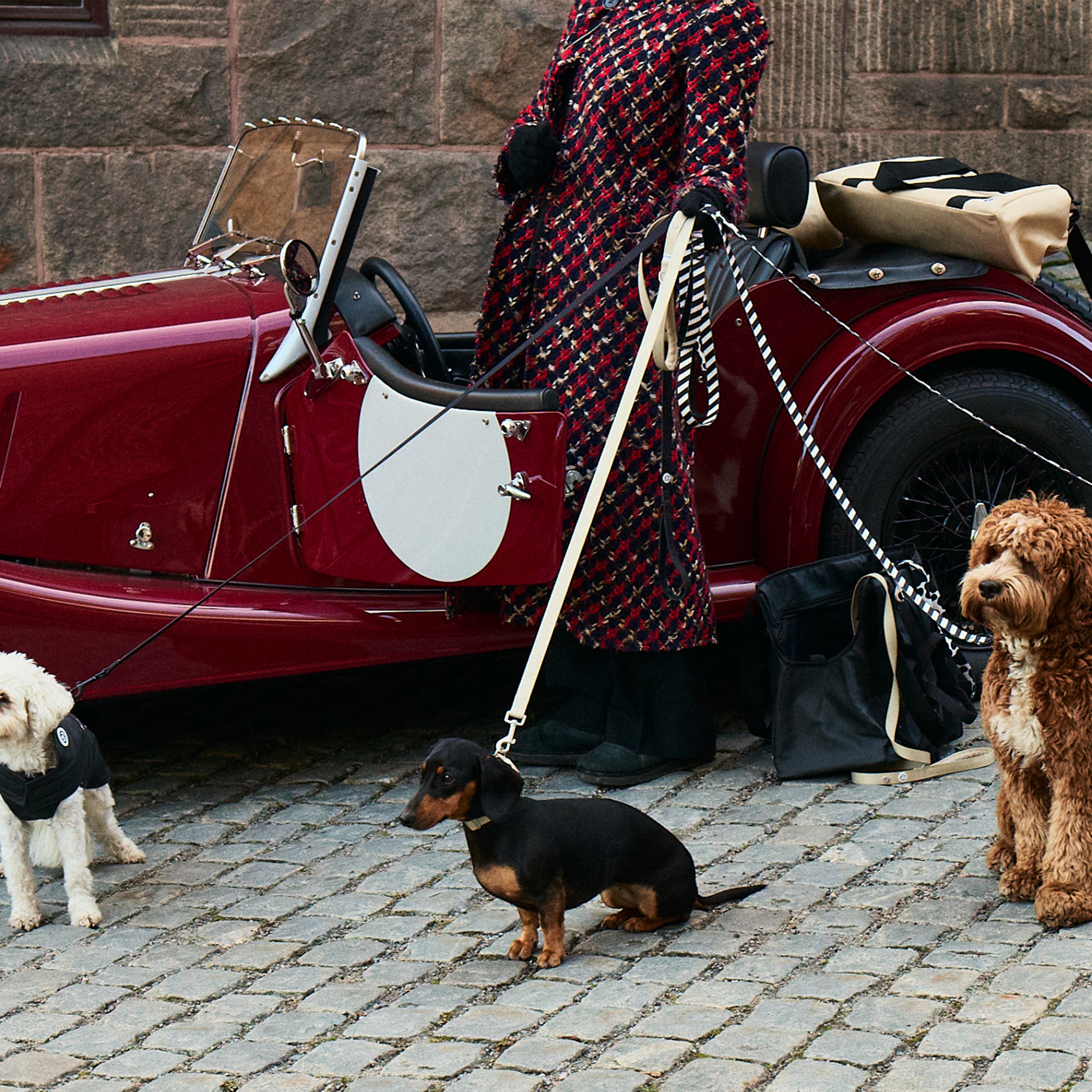Sand Dog Leash - Barkalot