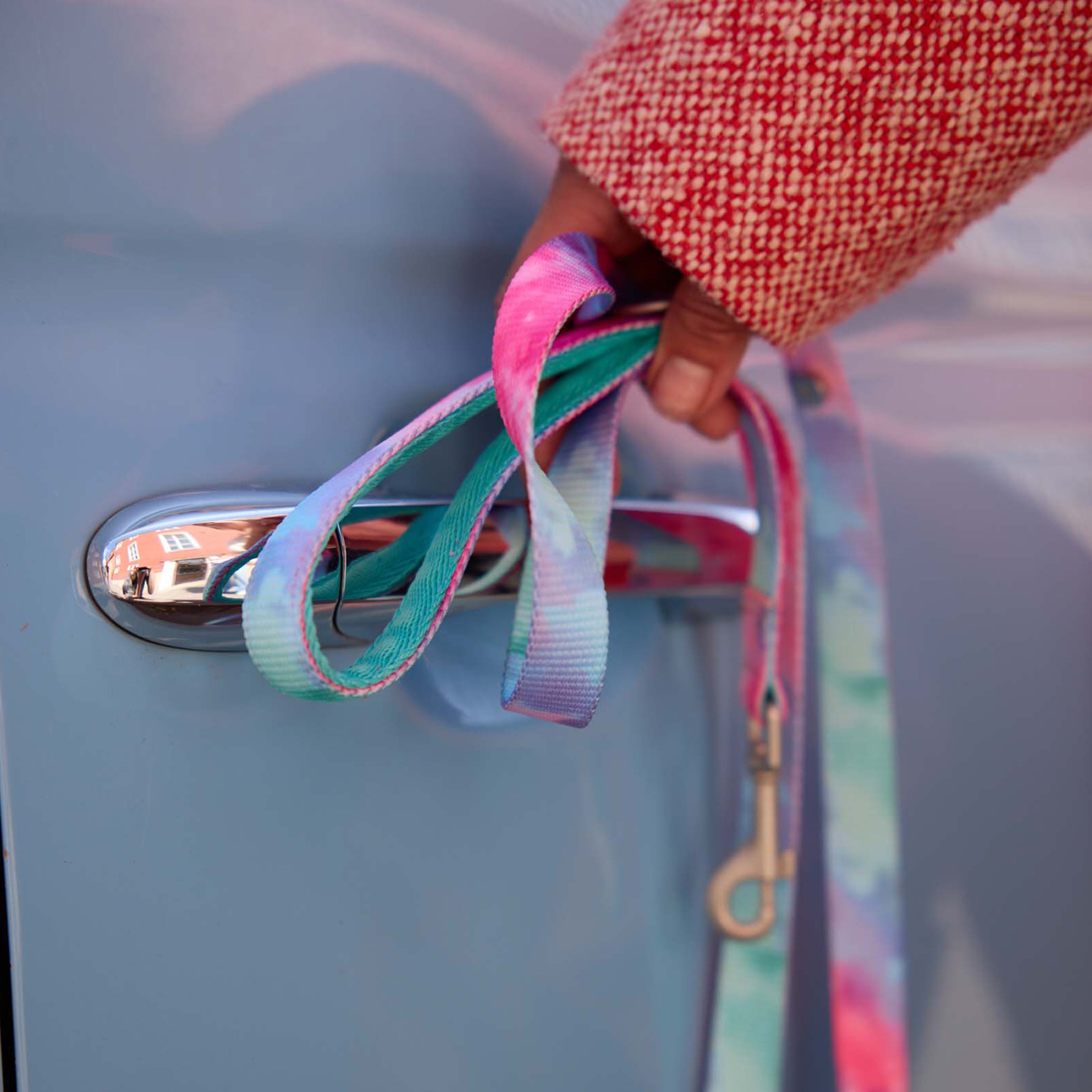 Tie Dye Multi Dog Collar Walk Kit - Barkalot