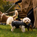 Padded Dog Coat - Barkalot