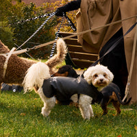 Padded Dog Coat - Barkalot