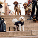 Padded Dog Coat - Barkalot