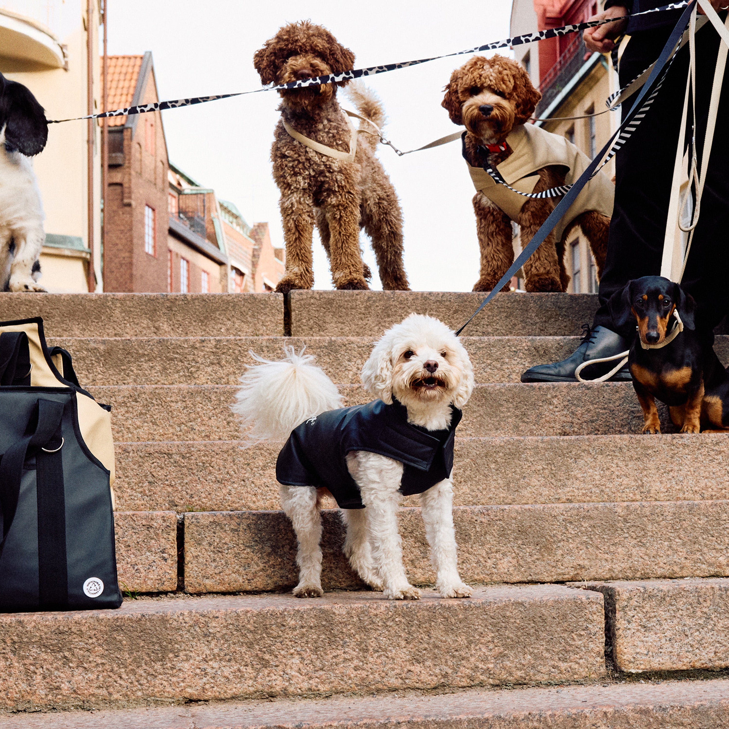 Padded Dog Coat - Barkalot