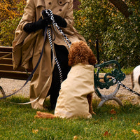 Padded Dog Coat - Barkalot