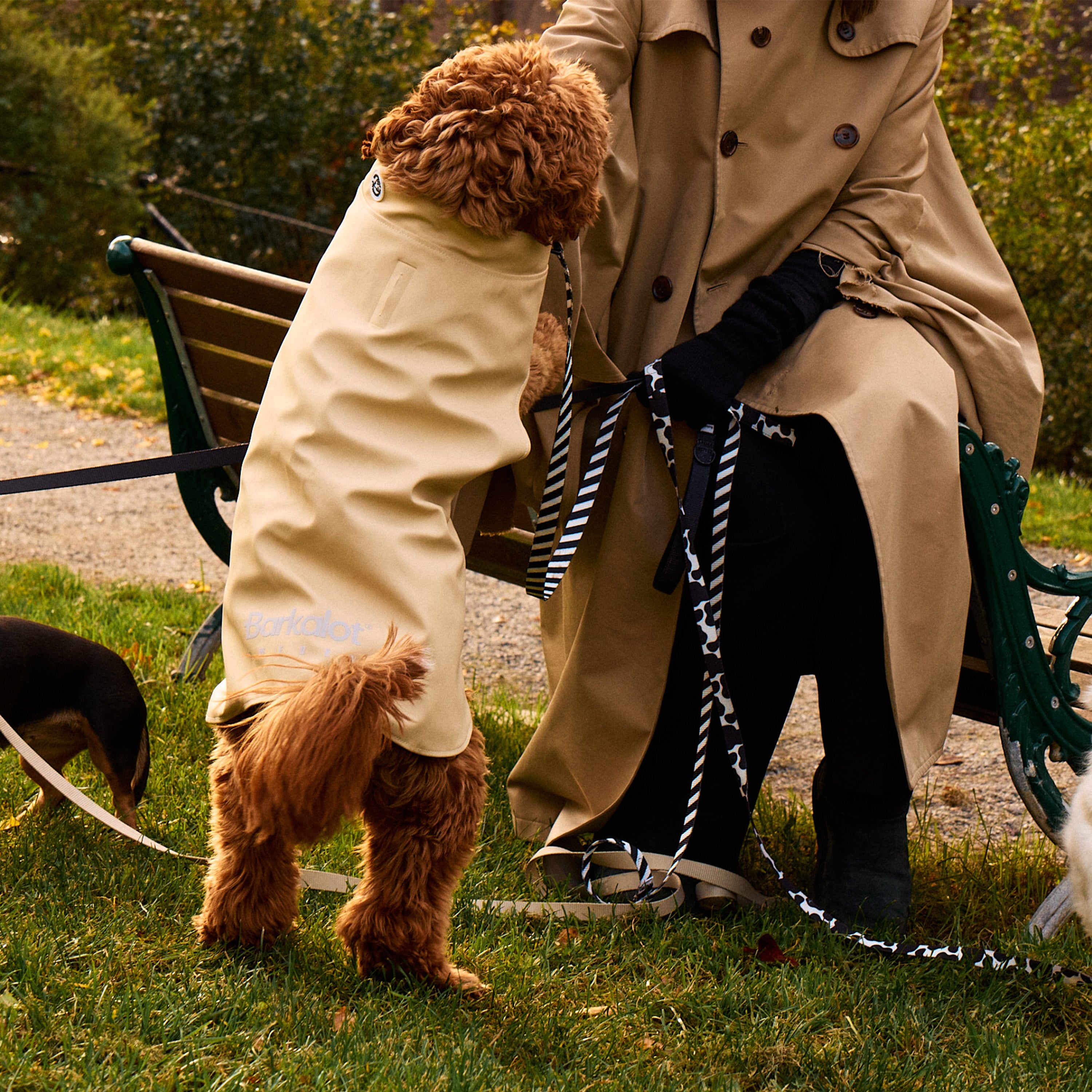 Padded Dog Coat - Barkalot