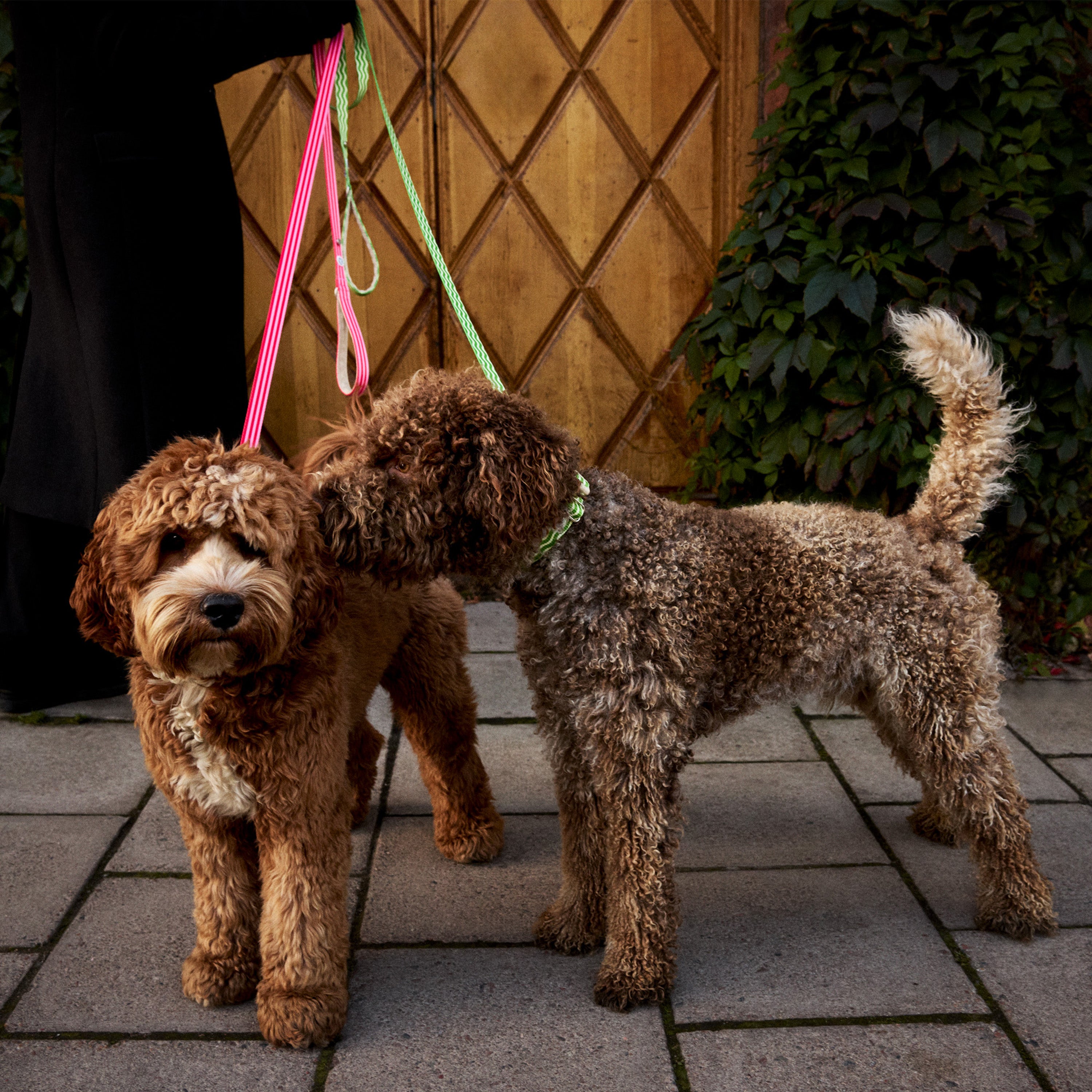 Mosebacke Walk Kit Dog Collar Pink - Barkalot