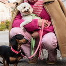 Mosebacke Walk Kit Dog Collar Pink - Barkalot