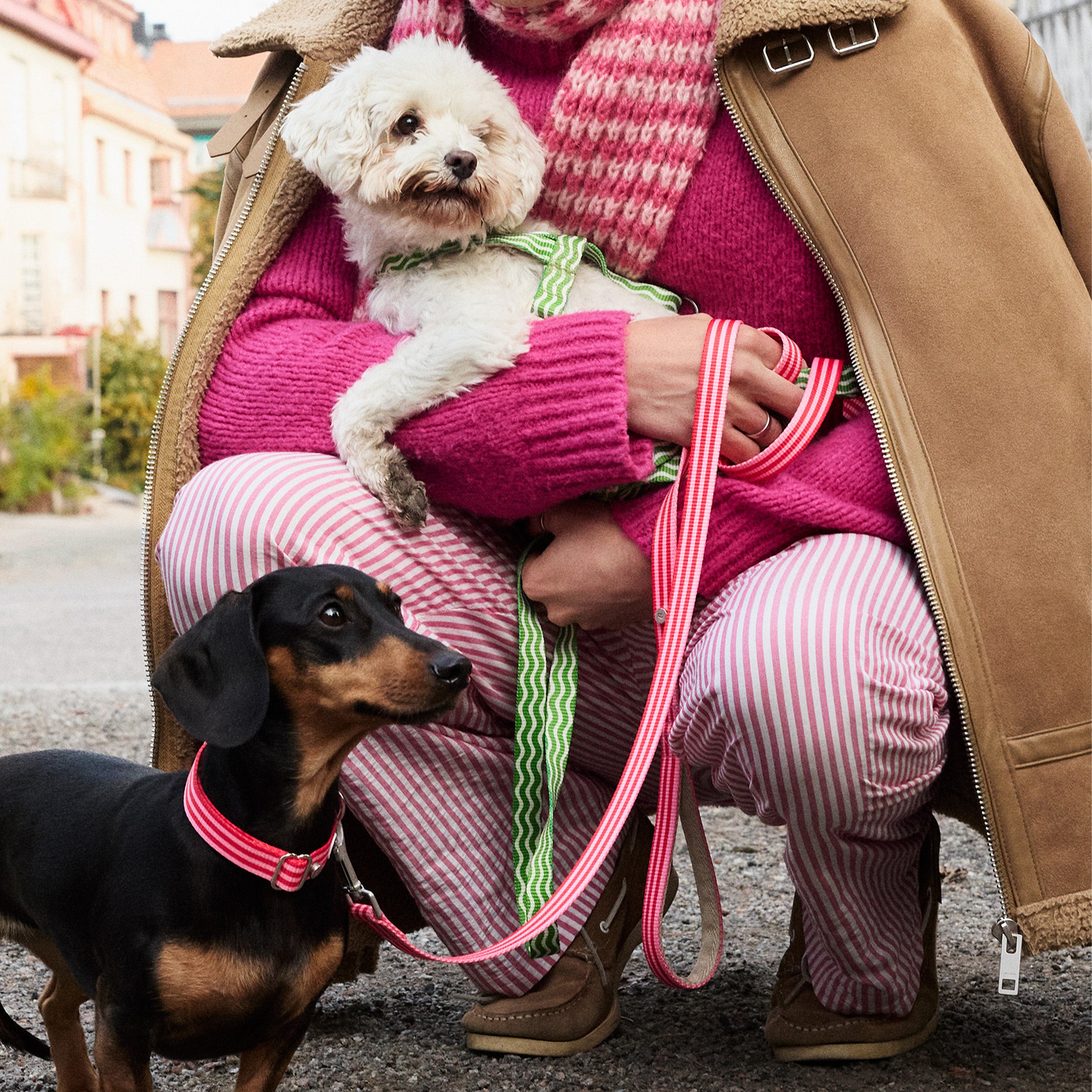 Mosebacke Walk Kit Dog Collar Pink - Barkalot