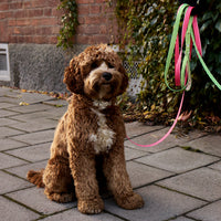 Mosebacke Pink Dog Leash - Barkalot