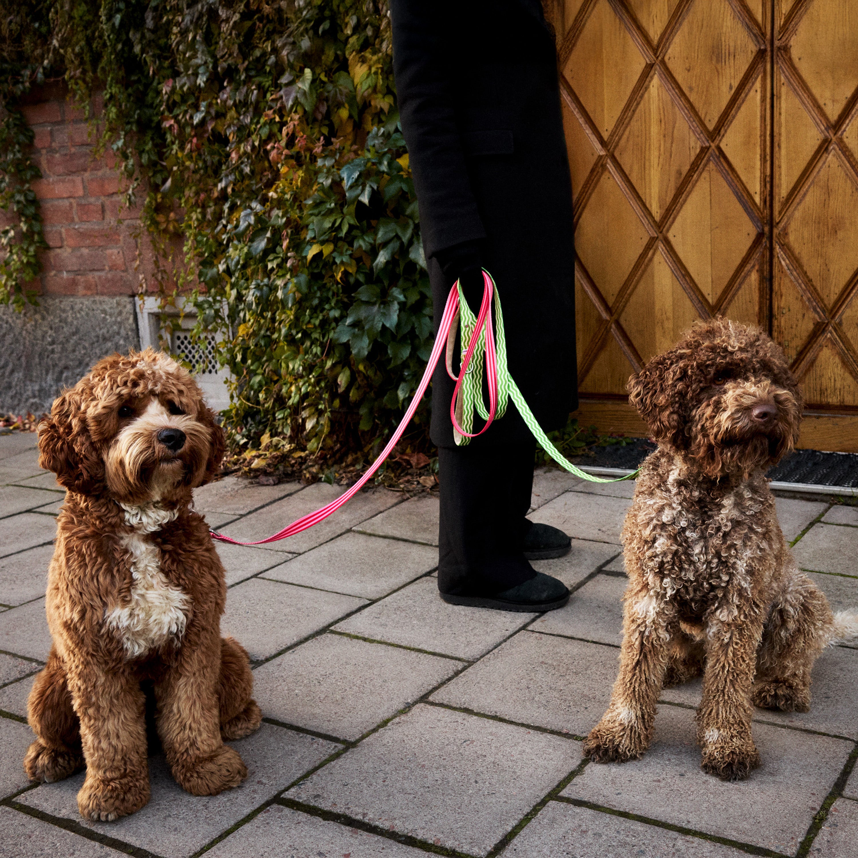 Mosebacke Green Dog Leash - Barkalot