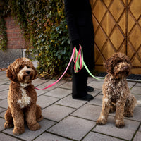 Mosebacke Pink Dog Leash - Barkalot