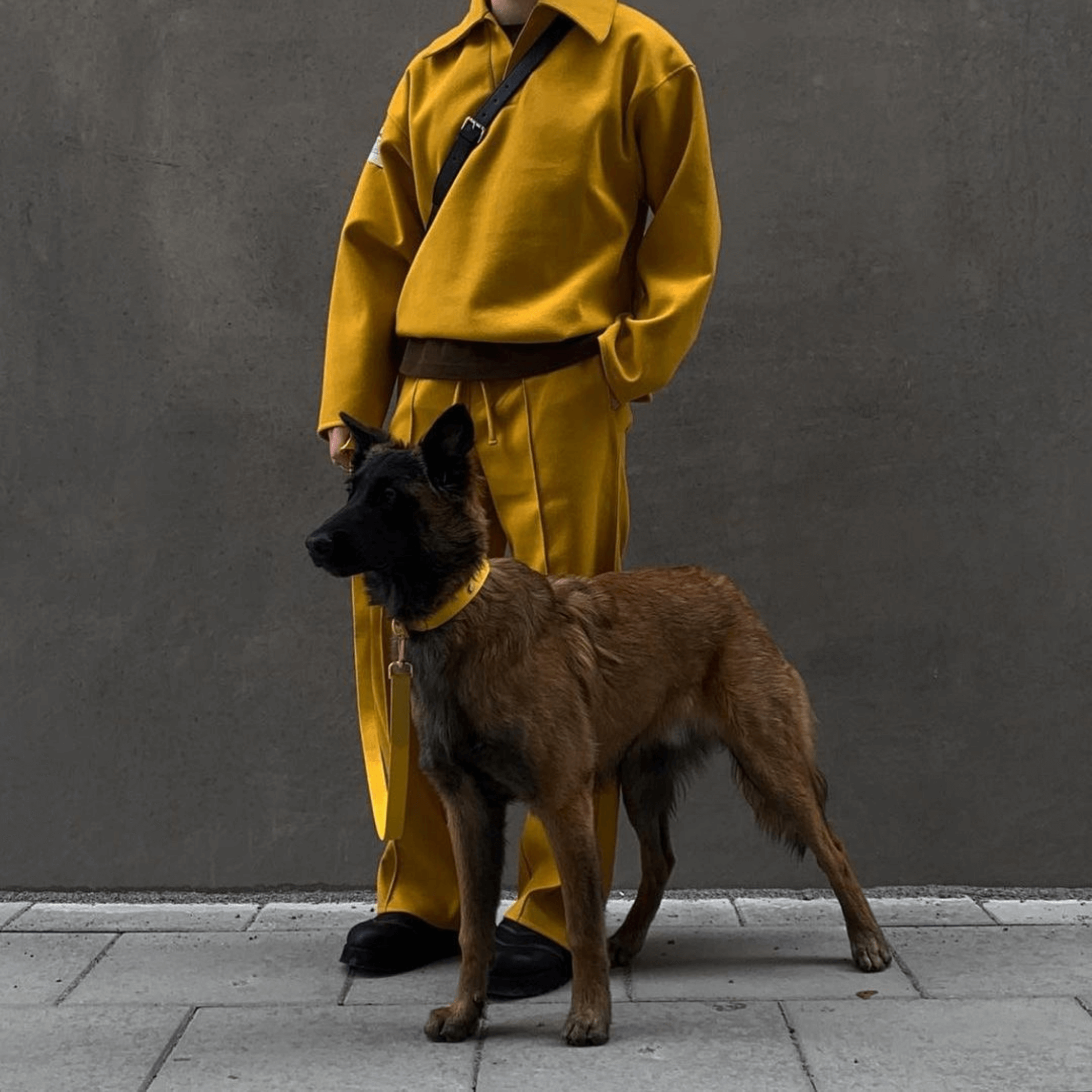 Kit de promenade pour collier de chien jaune + support pour sac à caca