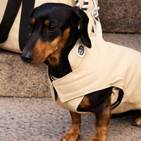 Padded Dog Coat - Barkalot