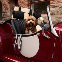 Zebra Dog Collar Walk Kit - Barkalot