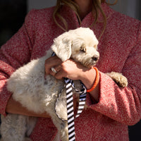 Zebra Dog Leash - Barkalot