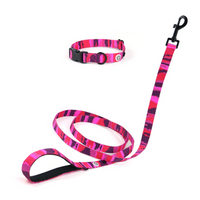 Pink Camo Dog Collar Walk Kit